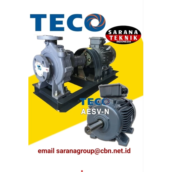 TECO INDUCTION MOTOR AESV-N PT. SARANA TEKNIK