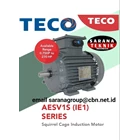 TECO AESV1S / IE1 INDUCTION MOTOR PT. SARANA TEKNIK 1