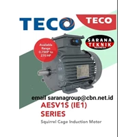 TECO AESV1S / IE1 INDUCTION MOTOR PT. SARANA TEKNIK