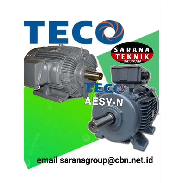 TECO AESV-N SERIES INDUCTION MOTOR PT. SARANA TEKNIK