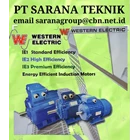  WESTERN AC Motor PT SARANA TEKNIK MOTOR WESTERN 1