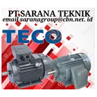 Electric Motor Merk TECO 1