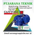 PT SARANA TEKNIK ELECTRIC AC MOTOR Electric motors CANTONI MADE IN POLAND 1
